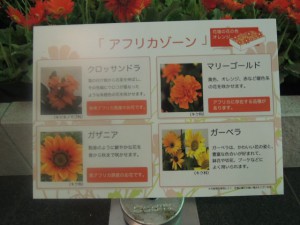 DSCN9261