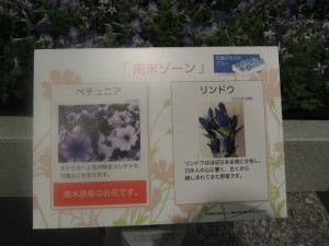DSCN9266