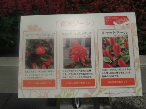 DSCN9275