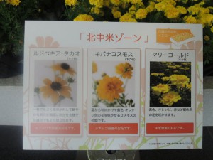 DSCN9276