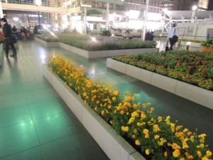 DSCN9286