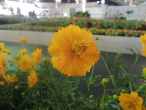DSCN9290