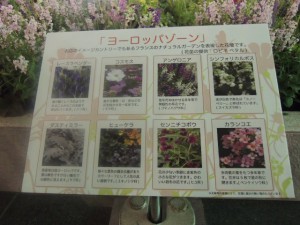 DSCN9291