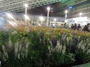 DSCN9292