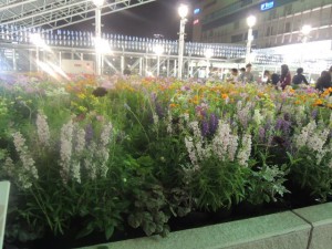 DSCN9293