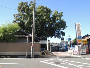 高野街道 酒蔵通り