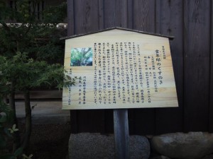 吉年邸のくすのき