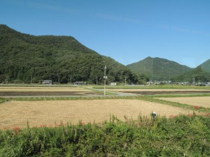 車窓(1)