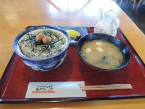 シラス丼