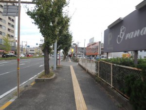 周辺道路