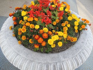 花壇