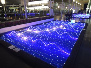海