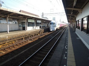 白いラピート