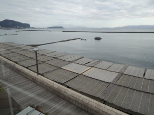 砂むし屋根
