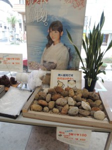軽石販売