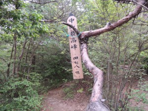 中山最高峰４７８ｍ