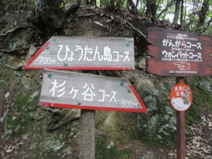 ひょうたん島