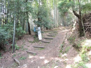 登山道