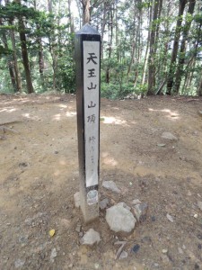 天王山山頂