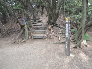山道