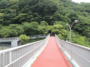 DSCN1200