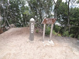 DSCN1241