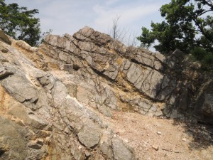 DSCN1253
