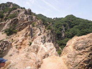 DSCN1277