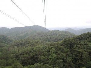景色