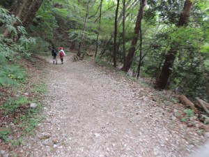 下り道