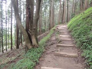 登山道５