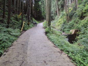 登山道