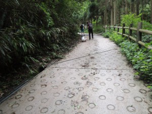 下山道２