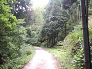 下山道３