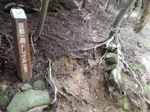 京都一周トレイル