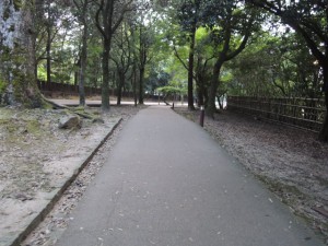 通路