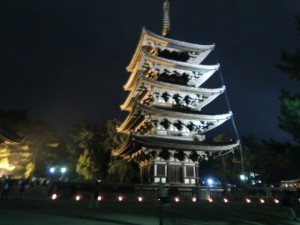 DSCN0207