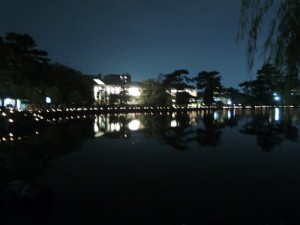 DSCN0211