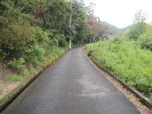 道