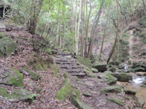 岩場