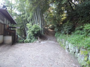 登り口
