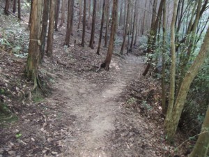 山道（２）