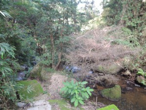 岩場（２）