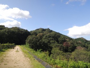 青空