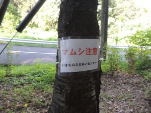 マムシ注意