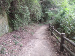 山道
