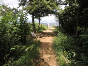 山道