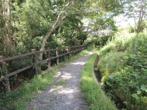 ハイキング道