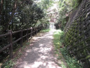 ハイキング道（２）
