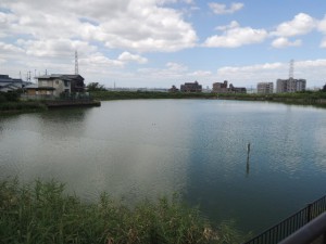 ため池